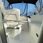 Botel Chamerops