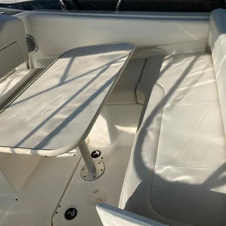 Chamerops Ouistreham