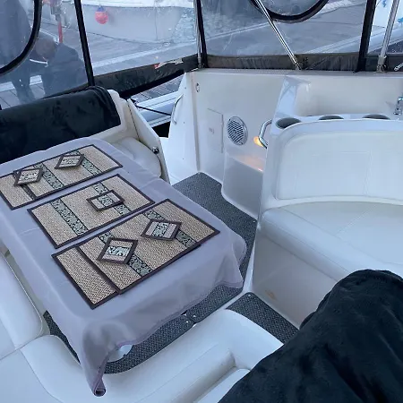 Chamerops Ouistreham