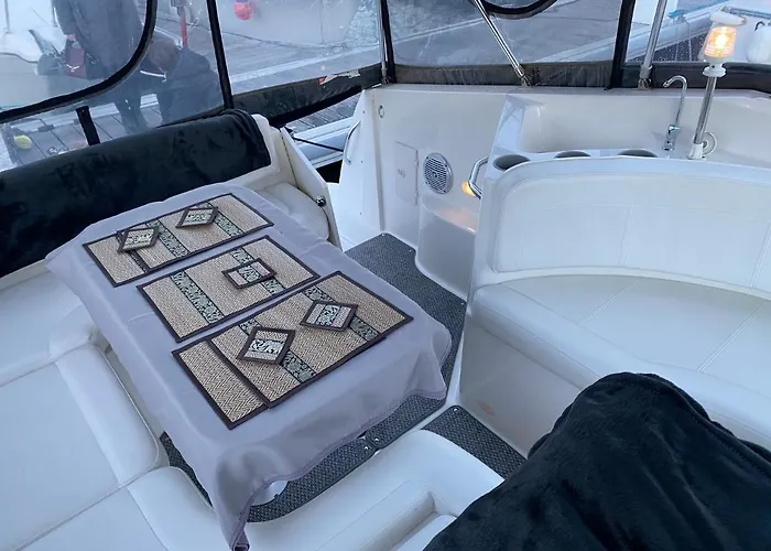 Chamerops Ouistreham