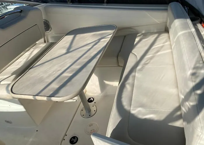 Chamerops וויסטרהאם